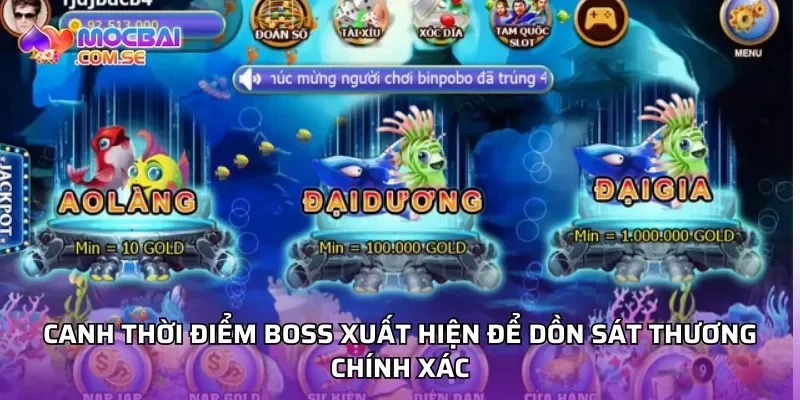 Canh thời điểm boss xuất hiện để dồn sát thương chính xác