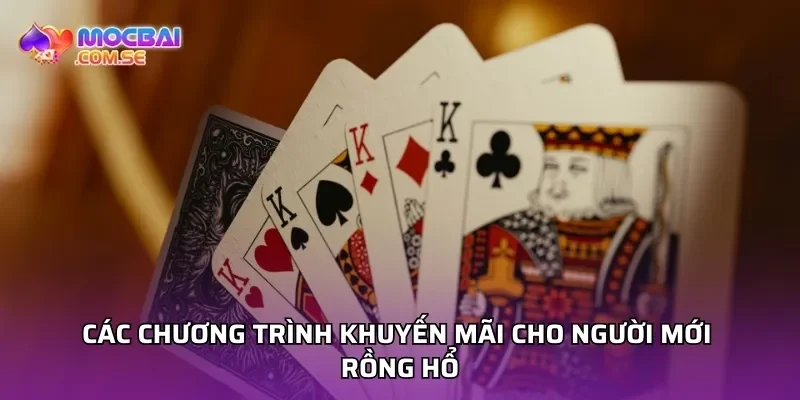 Các chương trình khuyến mãi cho người mới rồng hổ