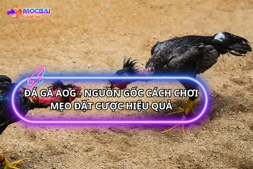 Đá Gà AOG