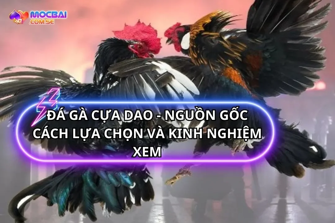 Đá Gà Cựa Dao