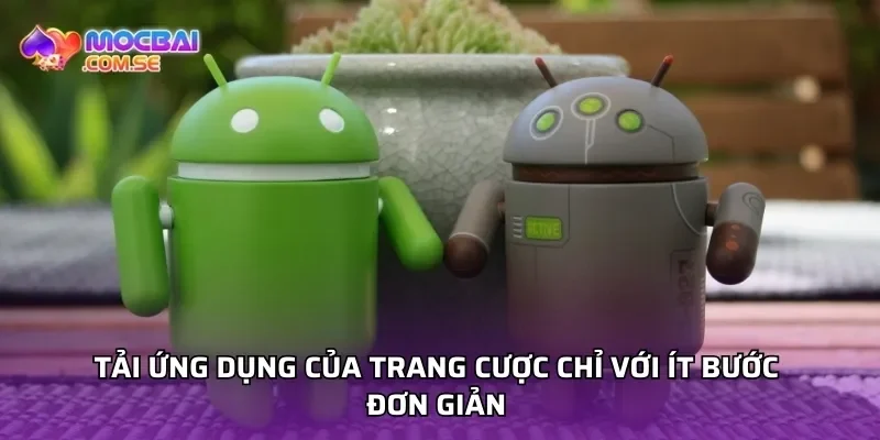 Tải ứng dụng của trang cược chỉ với ít bước đơn giản