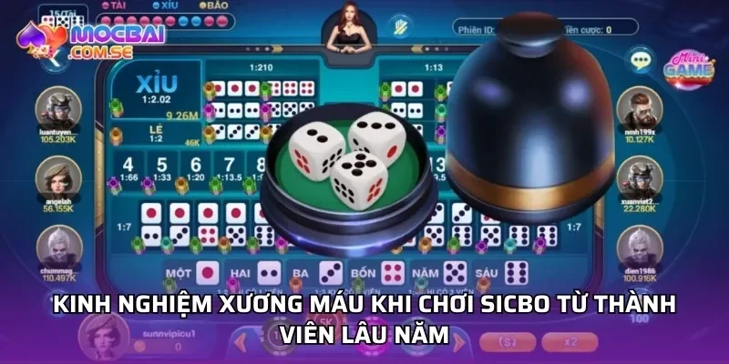 Kinh nghiệm xương máu khi chơi sicbo từ thành viên lâu năm