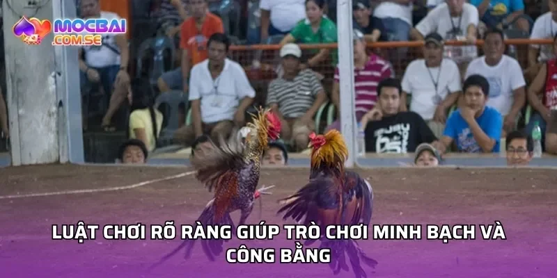 Luật chơi rõ ràng giúp trò chơi minh bạch và công bằng