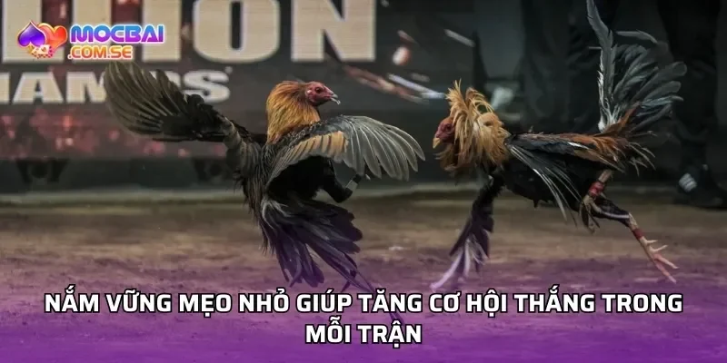 Nắm vững mẹo nhỏ giúp tăng cơ hội thắng trong mỗi trận