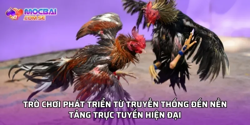 Trò chơi phát triển từ truyền thống đến nền tảng trực tuyến hiện đại