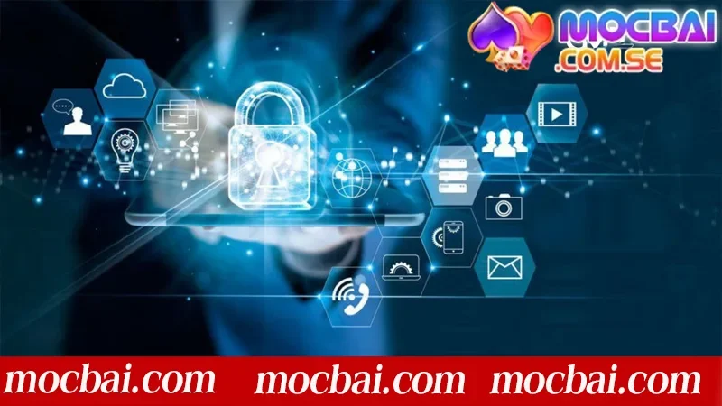 Độ tin cậy và bảo mật tại nhà cái mocbai luôn được đặt lên hàng đầu