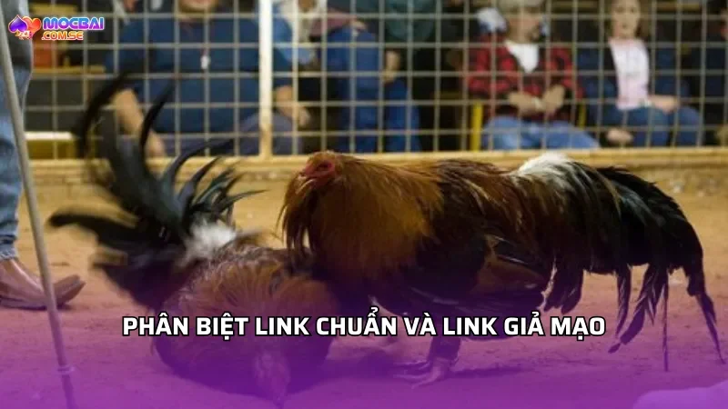 Cách phân biệt link chuẩn và link giả mạo