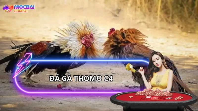 Đá gà Thomo C4 là gì