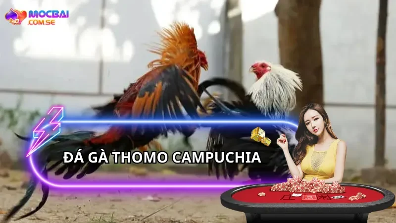 da-ga-thomo-campuchia
