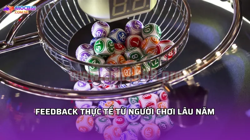 Feedback Thực Tế Từ Người Chơi Lâu Năm