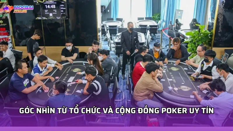 Góc nhìn từ tổ chức và cộng đồng Poker uy tín