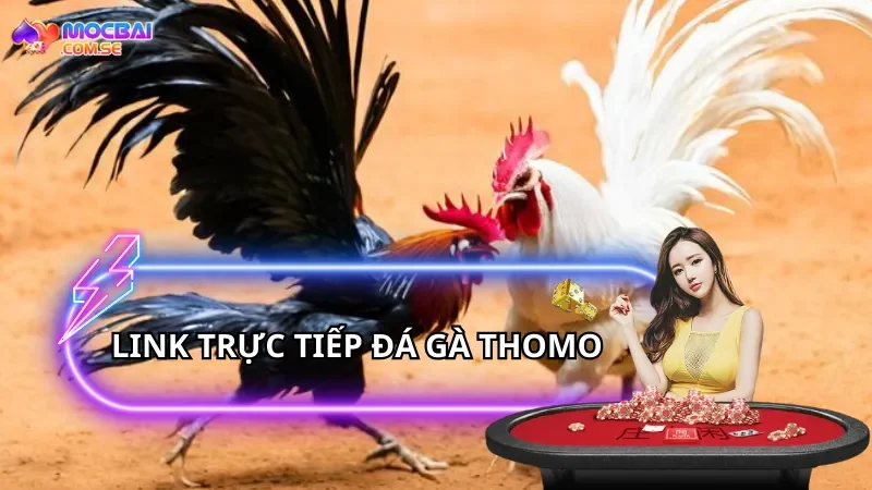 link-truc-tiep-da-ga-thomo