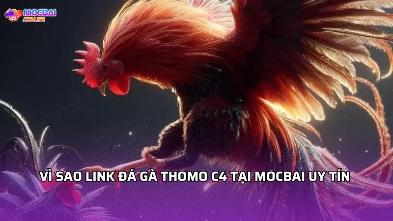 Vì sao link đá gà Thomo C4 tại MOCBAI uy tín hơn